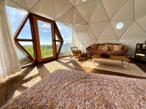 Golden Domes